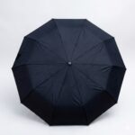Premium Automatic Windproof Folding Umbrella-10 Ribs