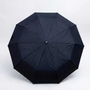 Premium Automatic Windproof Folding Umbrella-10 Ribs
