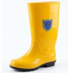 Dolphin Safety Gumboot