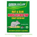 Green Killer Rat & Glue Mouse Catcher Trap (XD-8093A) - ইঁদুর ধরার ফাঁদ